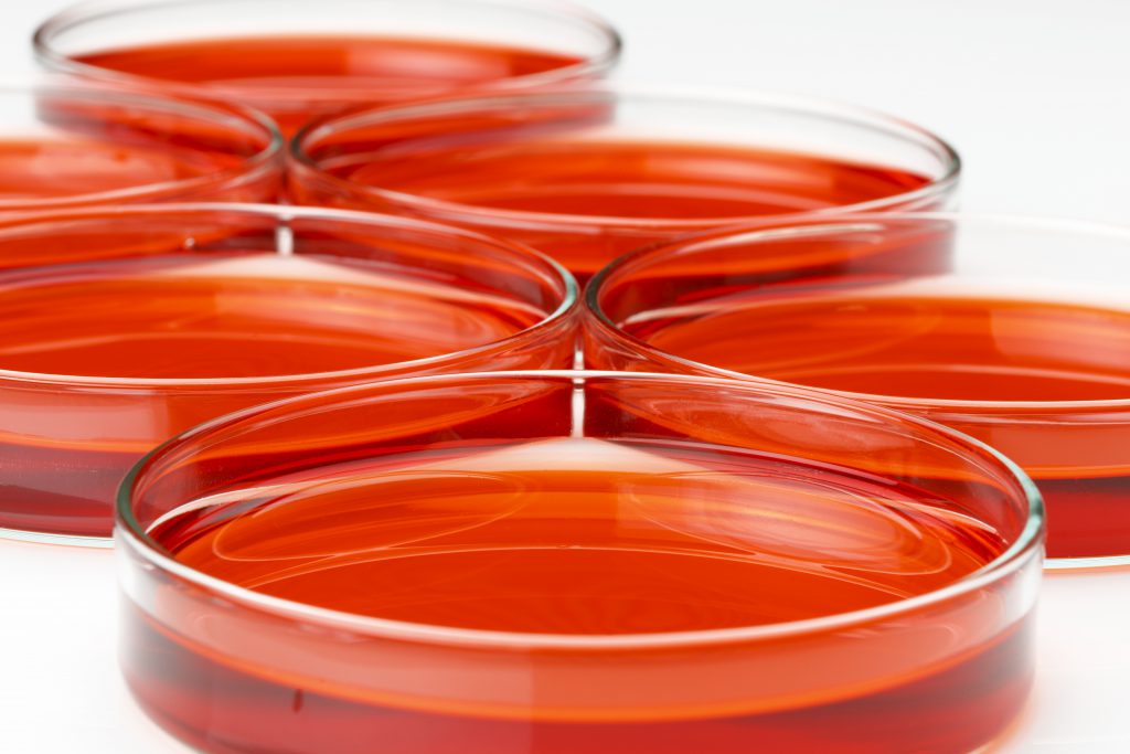 Petri Dishes Expression Systems